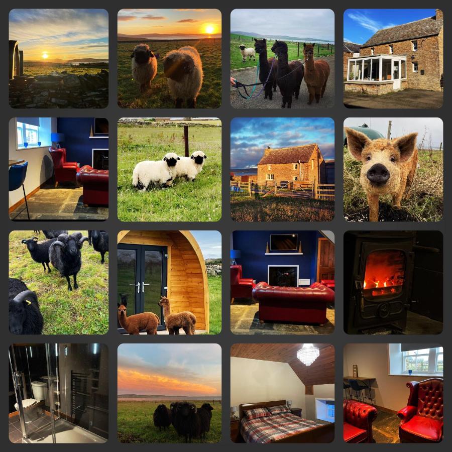 فيلا سترومنيسفي Orkney Farm Bothy المظهر الخارجي الصورة